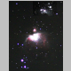M42_laeufer.jpg